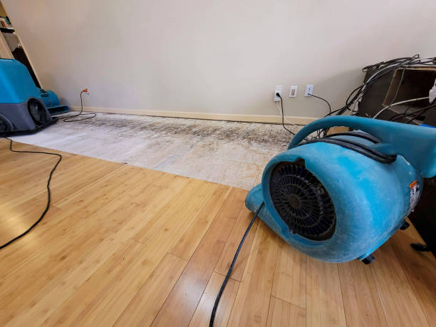 Professional Water Removal technician working in Big Sandy, TN